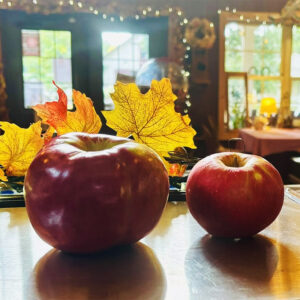 767x767_ApplesOnCounter